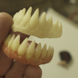 Pu&ograve; includere: Un paio di denti da vampiro in plastica bianca con una base rossa. I denti sono affilati e appuntiti e sono tenuti nella mano di una persona.