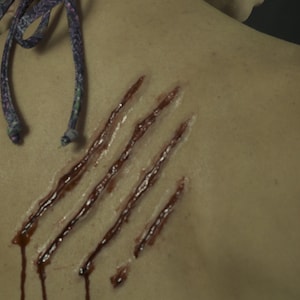 3d transfers (claw scratches)