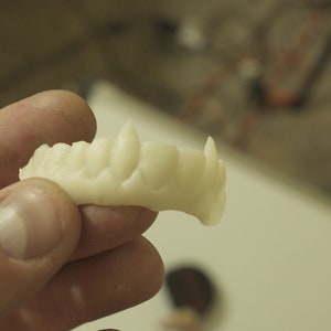 Denti da vampiro di Nosferatu: zanne del Conte Orlock per cosplay horror, Halloween e rievocazioni cinematografiche. immagine 6