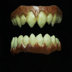Abigail fangs ( vampire teeth)
