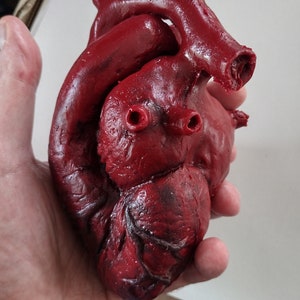 Lifelike Silicone Heart Prop for Horror Films, Stage Productions, and Special Effects Makeup