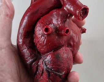 Realistic Heart (rubber heart for film and stage prop)