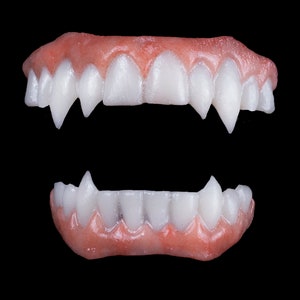 May include: A set of white vampire teeth with a pink gum line. The teeth are in a wide open mouth position, showing the fangs.