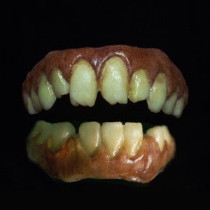 Può includere: Una coppia di dentiere in plastica marrone e gialla dall'aspetto realistico. Le dentiere sono aperte e mostrano i denti.