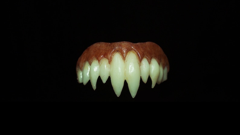 Pu&ograve; includere: Un set di zanne da vampiro dall'aspetto realistico, realizzate in materiale marrone e bianco. Le zanne sono appuntite e affilate e sono progettate per adattarsi ai denti di chi le indossa.
