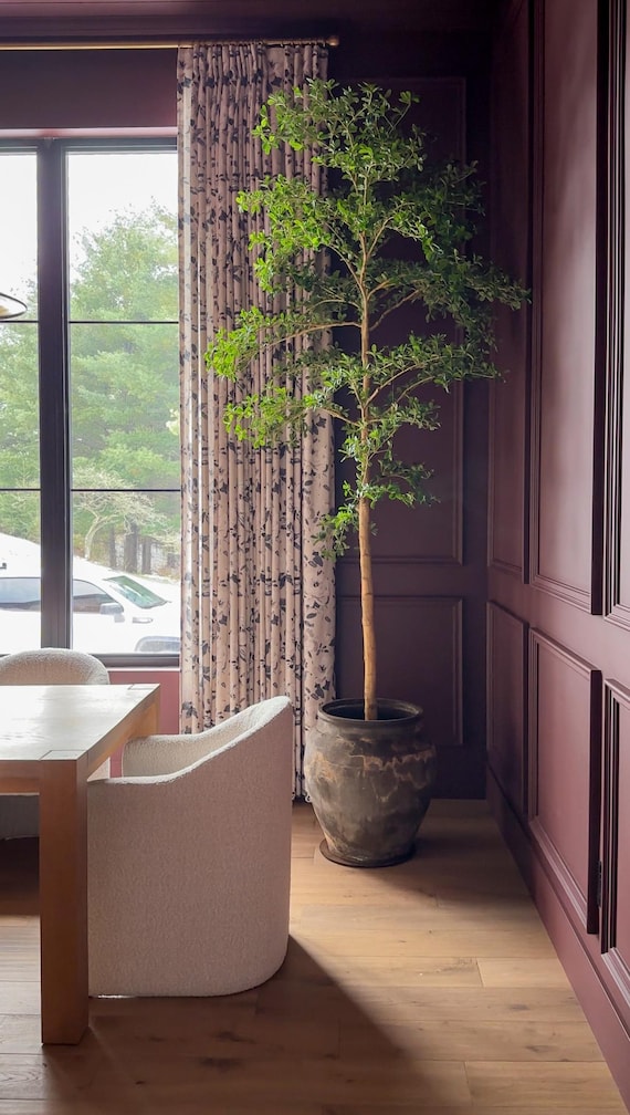 Faux Black Olive Tree, Shady Lady Tree, Olive Tree, Bucida Buceras Tree