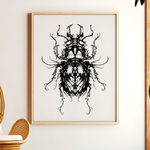Könnte beinhalten: Eine Schwarzweiß-Zeichnung eines Käfers mit filigranen Details. Der Käfer ist in einer symmetrischen Pose mit ausgebreiteten Flügeln dargestellt.