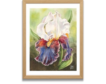 Iris Watercolor Illustration, Iris, Flower, Flower Art, Home Decor, Wall Art Decor, Flower Decor, Watercolor, Illustration, Print