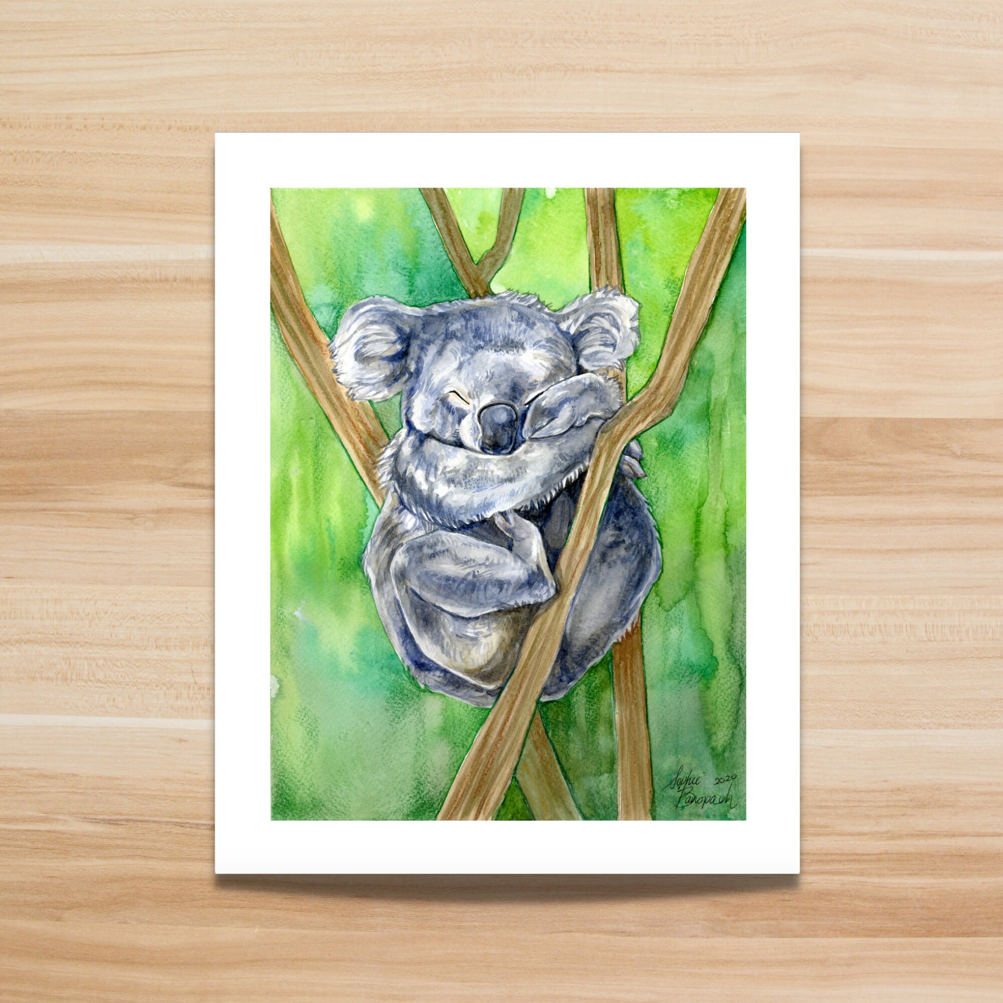 Koala Watercolor Illustration Koala Print Koala Drawing Etsy UK
