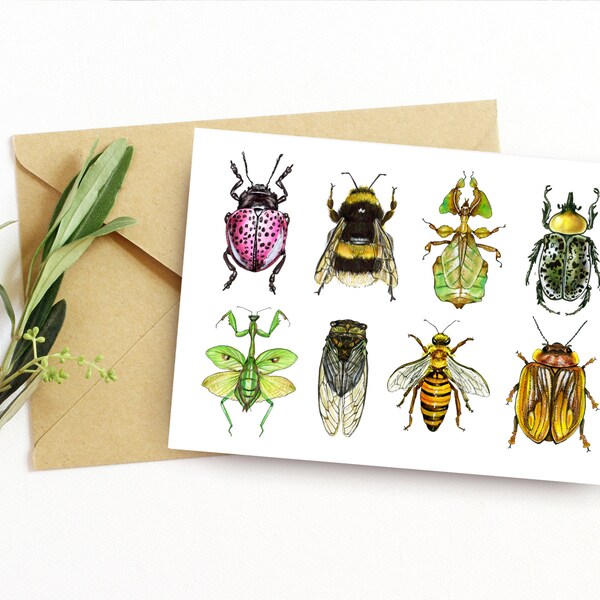 Insect Card, Bug cards, Greeting card, Insect art, Decor, Bugs, Insect, Home Decor, Boys Room, Wall Art, Postcard, Print, Beetles, Bees