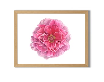 Peony Flower Watercolor Illustration, Peony, Peony Flower, Flower, Flower Painting, Pink Flower, Home Decor, Wall Art Decor, Nursery Decor