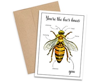 Bee Card, Insect Card, Bug cards, Greeting card, Insect art, Decor, Bee, Bees Knees, Home Decor, Wall Art, Postcard, Print, Card