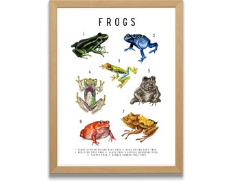 Frog Poster, Frog Illustration, Frog, Tropical Decor, Tropical, Home Decor, Colorful Paint, Kids Room, Boys Room, Illustration, Digital Art