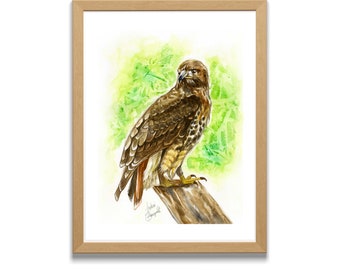 Red Tail Hawk Illustration, Red Tail Hawk, Hawk, Watercolor, Wall Art, Animal Art, Birds, Bird Art, Print, Bird Species, Home Decor