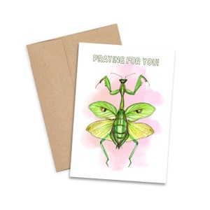Praying Mantis Card, Praying Mantis, Greeting Card, Insect Art, Decor, Mantids, Get Well Card, Wall Art, Postcard, Print, Card, Stationary