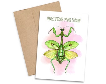 Praying Mantis Card, Praying Mantis, Greeting Card, Insect Art, Decor, Mantids, Get Well Card, Wall Art, Postcard, Print, Card, Stationary