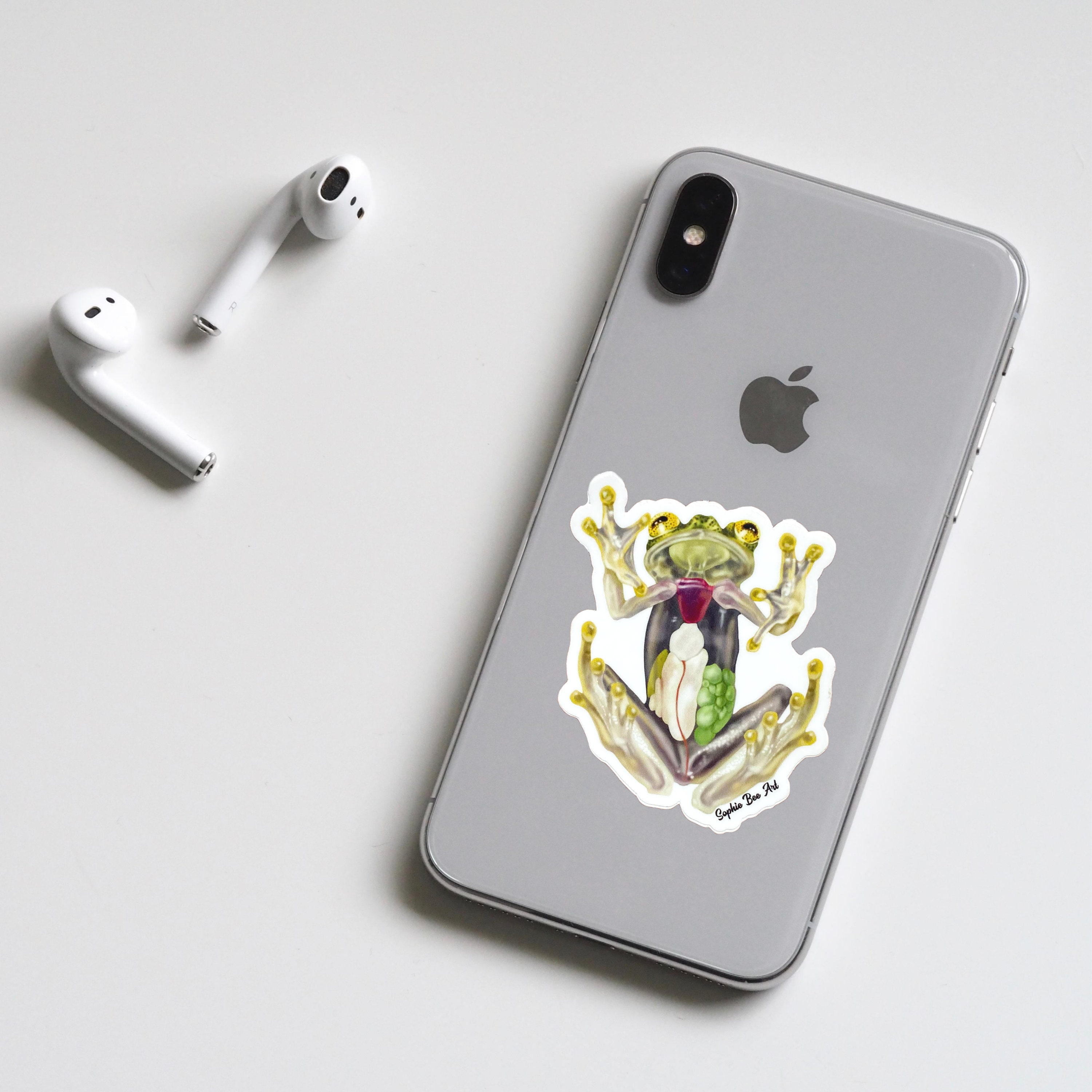 Frog Vinyl Sticker Frog Stickers Frog Sticker Anatomy - Etsy