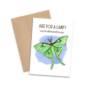 Luna Moth Card, Luna Moth, Greeting Card, Insect Art, Decor, Moth, Moth Art, Butterfly, Funny Card, Wall Art, Print, Card, Stationary