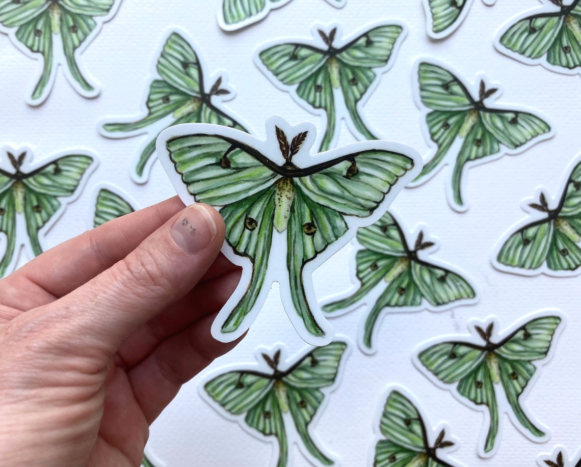 LUNA MOTH Die-cut Vinyl Sticker, Luna Moth Stickers, Luna Moth, Sticker ...