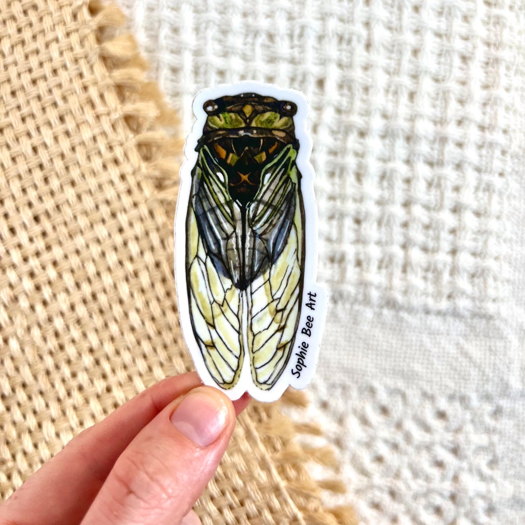 CICADA Die-cut (NOT Clear) Vinyl Sticker, Cicada Stickers, Cicada ...