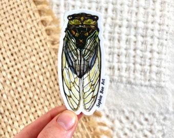 CICADA Die-Cut (NOT Clear) Vinyl Sticker, Cicada Stickers, Cicada, Sticker, Botanical Sticker, Vinyl Sticker, Laptop Decal, Decal