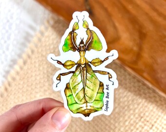 Leaf Bug Vinyl Sticker, Bug Stickers, Bug, Leaf Bug, Sticker, Insect Sticker, Vinyl Sticker, Waterproof Sticker, Laptop Decal, Phone Decal