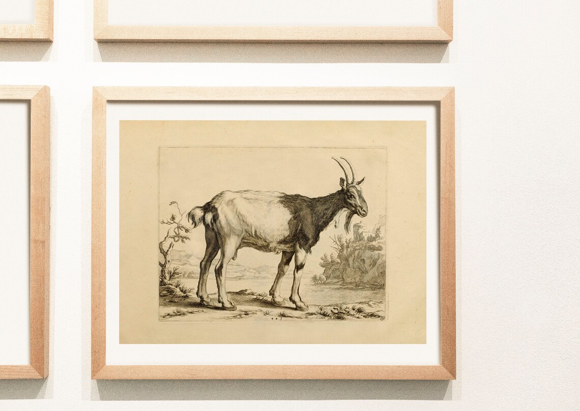 Antique Print of a Goat DIGITAL DOWNLOAD Art to Frame Wall Etsy