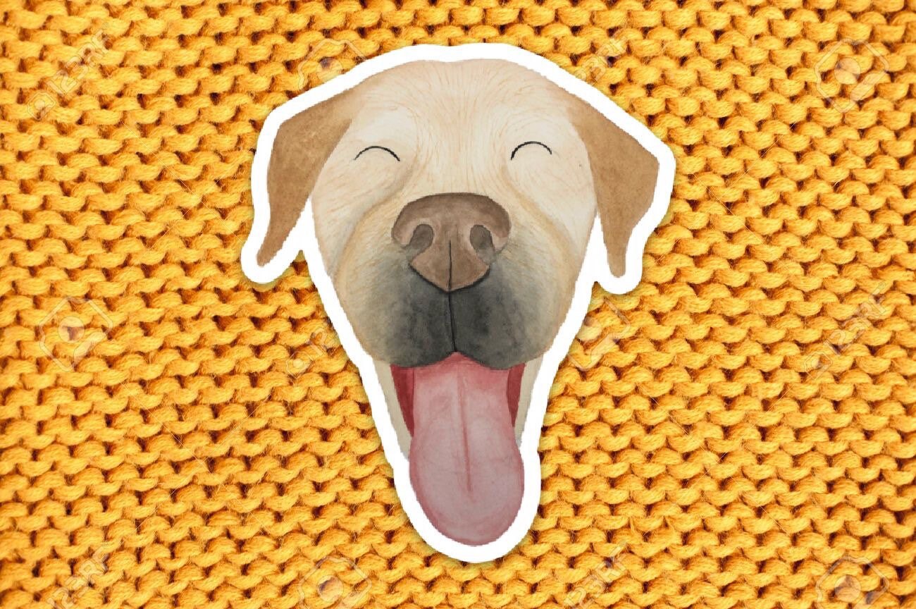 Dog laptop stickers dog decal happy labrador retriever Etsy