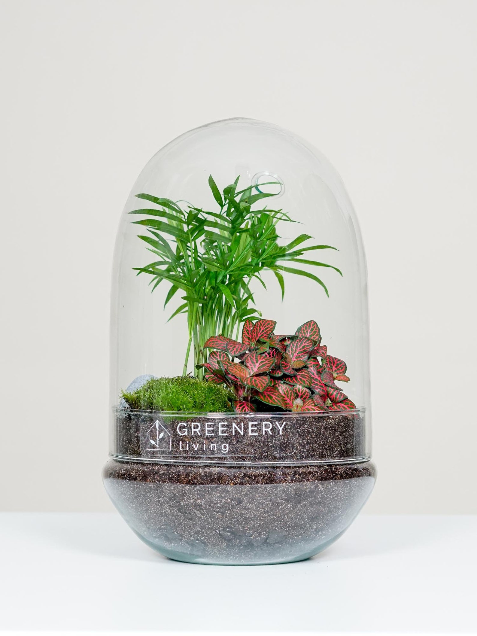 Bottle Garden Egg3 DIYSet/Terrarium/Biotope/Ecosystem Etsy