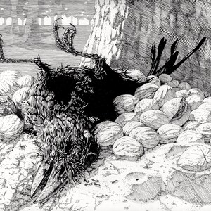 Żniwa, sierpień, rysunek owadów, ilustracja naukowa, mrówka cieśla, jakość muzealna, wydruk artystyczny giclee