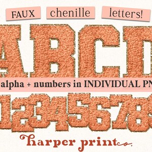 Può includere: Un set di lettere e numeri in finta ciniglia di colore rame con una finitura glitterata. Le lettere compongono la parola "ABCD" e i numeri sono "0123456789". Il testo "full alpha + numbers in INDIVIDUAL PNGs!" e "harper printo." sono inclusi anche nell'immagine.