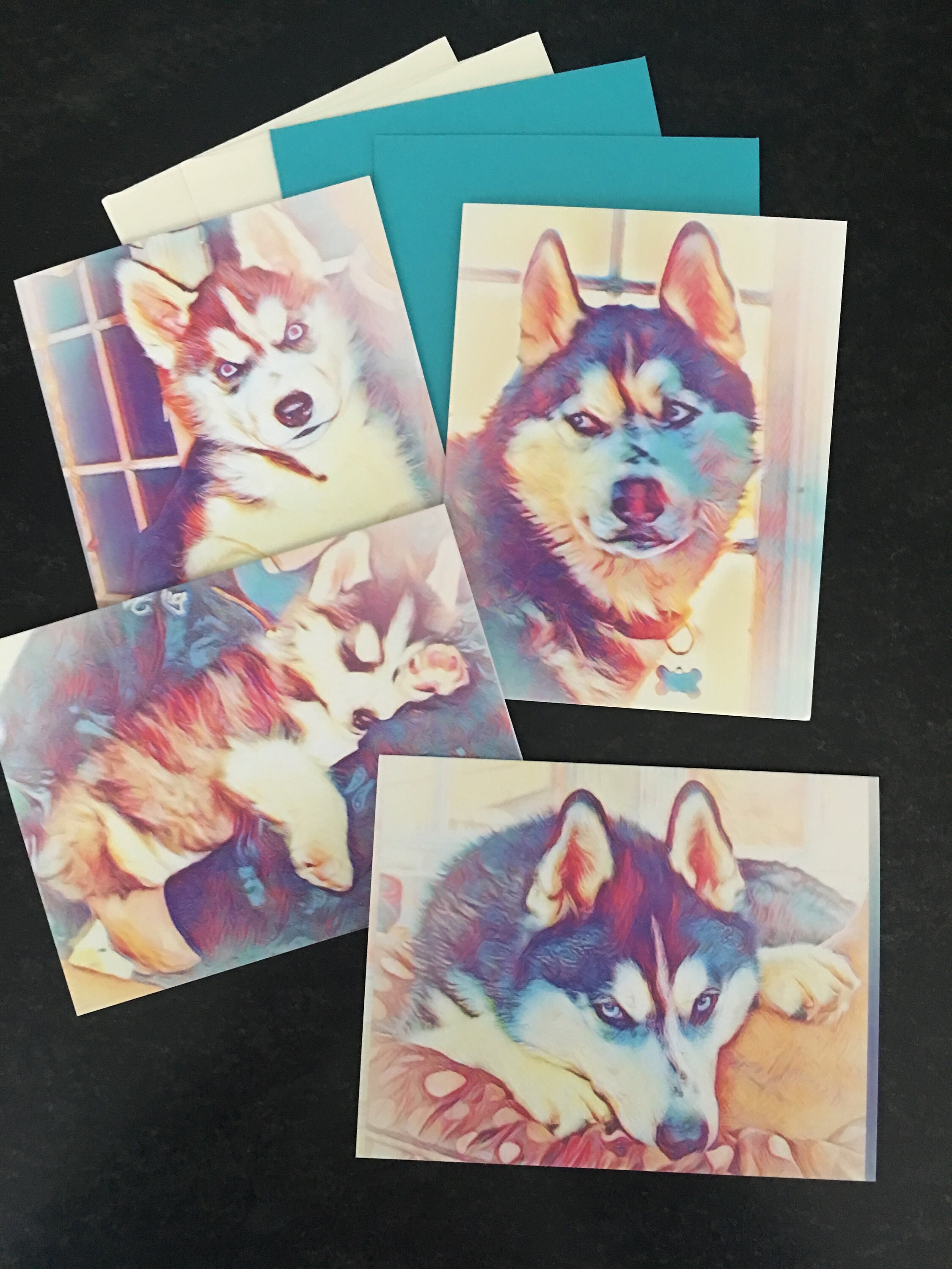 Set of Siberian Husky Cards Black and White Etsy