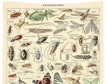 51.2 x 59.1 inches Bugs Tapestry Insect Tapestry Beetles and Bees Tapestries Illustrative Reference Chart Tapestry Wall Hanging for Room 51.2 x 59.1 inches Bugs Tapestry Insect Tapestry Beetles and Bees Tapestries Illustrative Reference Chart Tapestry Wall Hanging for Room