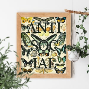 ANTISOCIAL Butterfly III Humor Funny Silly Comic Saying Club Quote Science Textbook Artwork Poster Aesthetic Room Decor Print