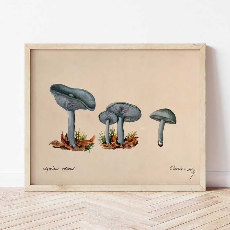 Toadstool Clitocybe Odora by Unknown 1887 Beautiful Simple Soft Cottagecore Mushroom Plant Antique Famous Retro Nature Aesthetic Painting image 8