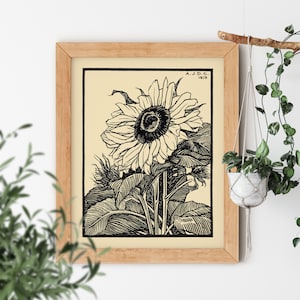 Sunflower Vintage Illustration by Julie de Graag 1877-1924 Ink Drawn Minimal Wildflower Gallery Artwork Small or Big Size Earthy Art Design