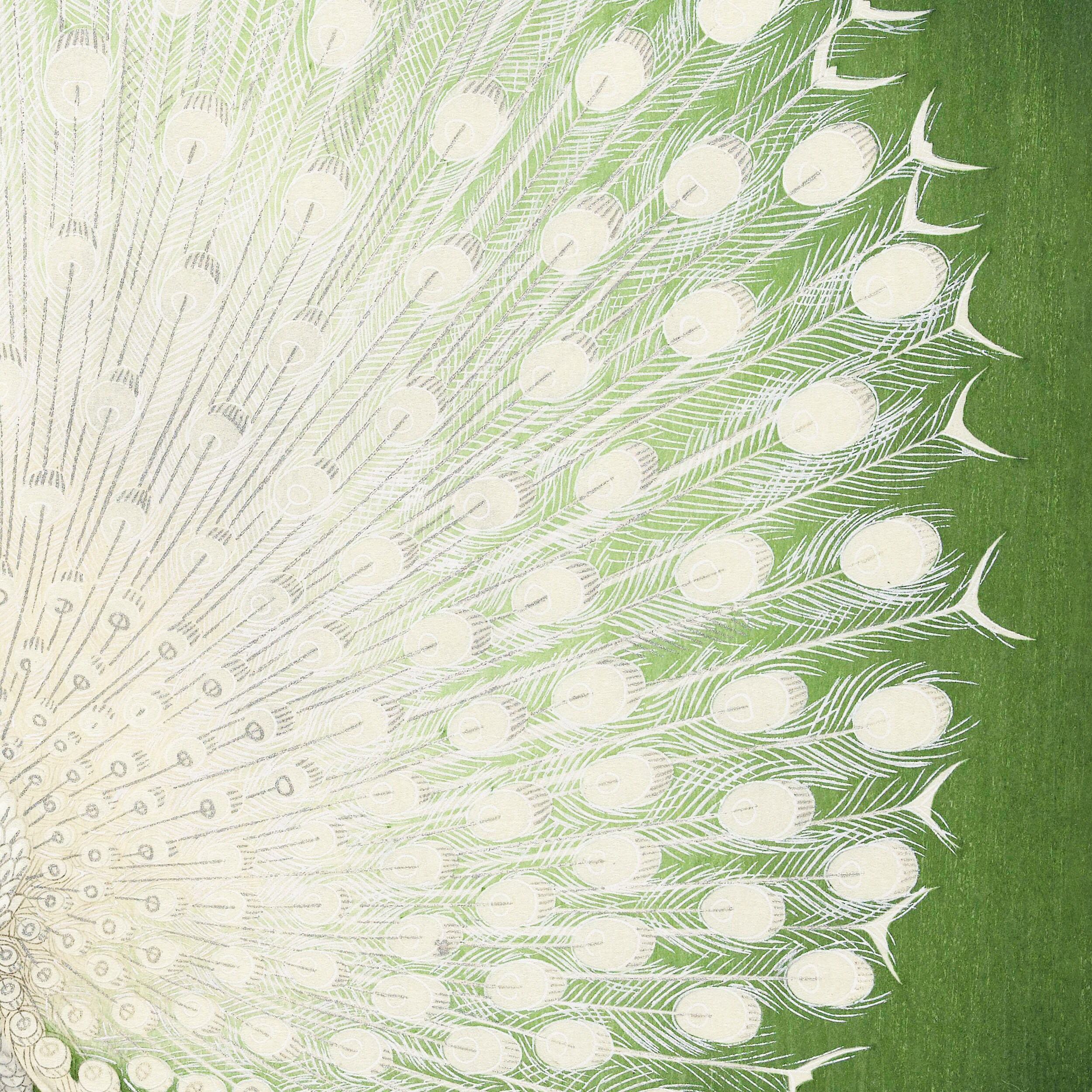 Peacock II by Ohara Koson 1925-1936 Famous Japanese Style Ukiyo-e