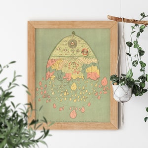 Burmese Map of the World 1906 Showing Traces of Medieval Map Making Famous Olive Green Map of Known Earth Vintage Aesthetic Fine Art Print