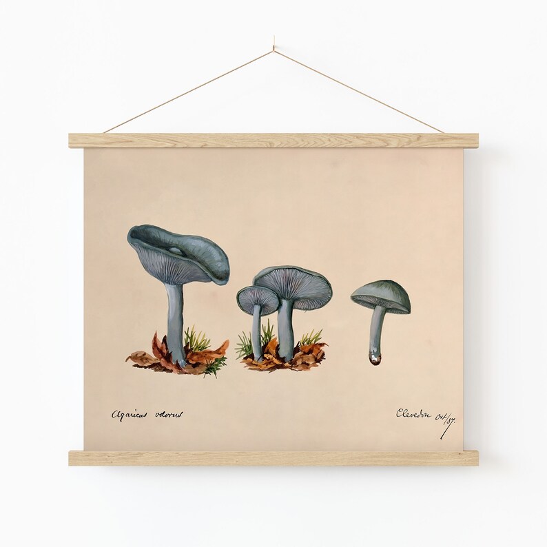Toadstool Clitocybe Odora by Unknown 1887 Beautiful Simple Soft Cottagecore Mushroom Plant Antique Famous Retro Nature Aesthetic Painting image 2