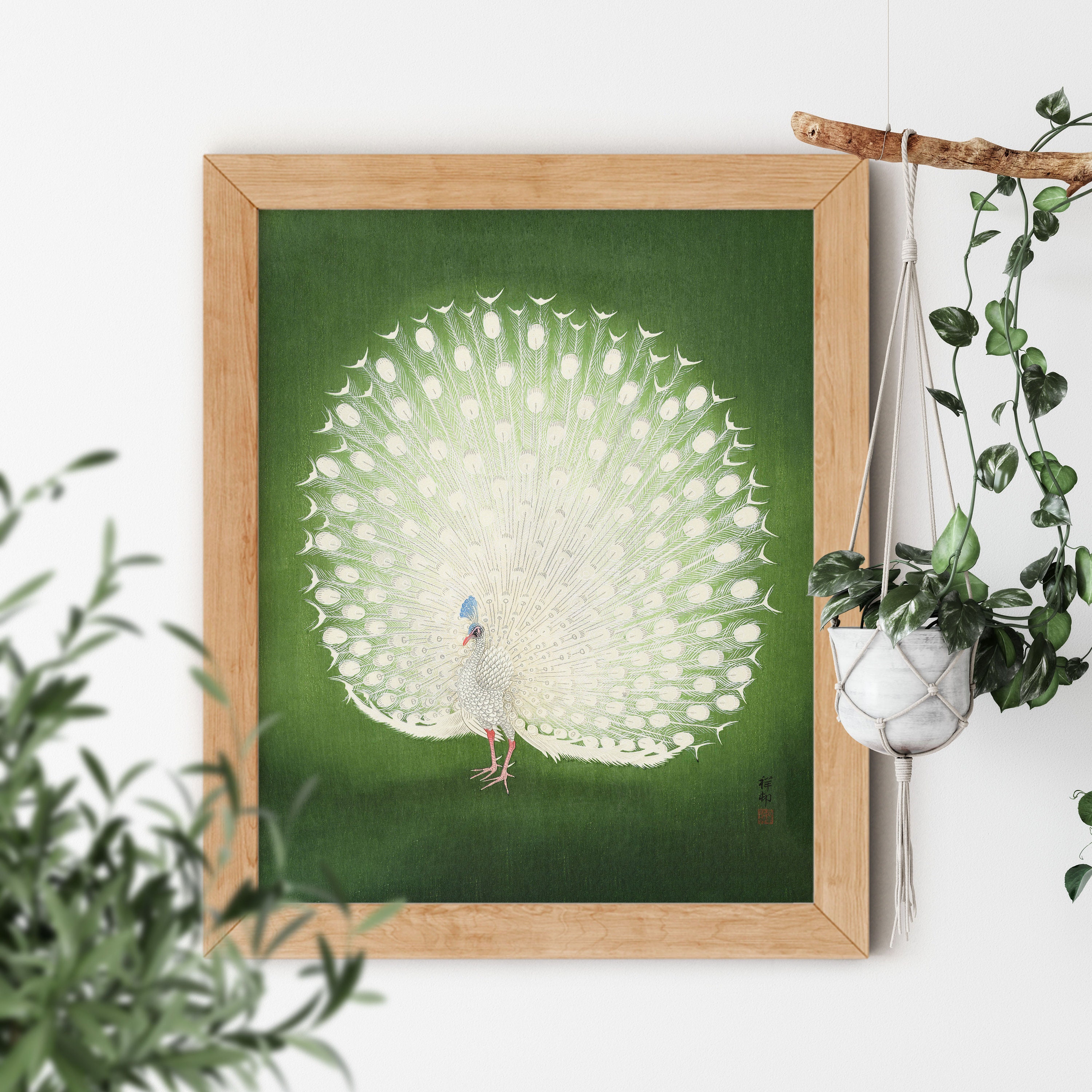 ねここねこpeacock garawa mahesa Peacock II by Ohara Koson 1925-1936 Famous Japanese Style Ukiyo-e