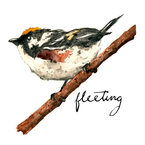 Animal Oracle Deck, from the Makers of the Rust Belt Arcana Tarot Deck