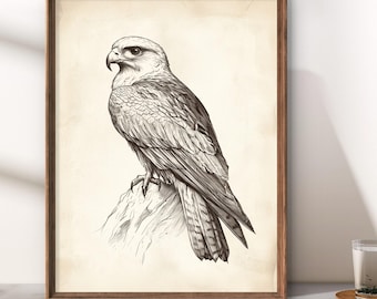 ヴィンテージのハヤブサ猛禽類ウォールアートプリント｜古びた羊皮紙に描かれた雄大な猛禽類のインクスケッチ、デジタルダウンロード無料