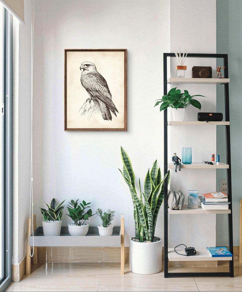 Vintage Peregrine Falcon Bird of Prey Wall Art Print | Majestic Raptor ...