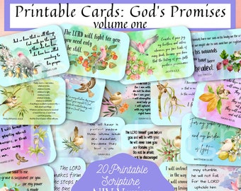 20 Printable Scripture Cards: Vol 1 God's Promises NIV,Scripture Memory Memorization Bookmarks,Bible Journaling,Watercolor Art Birds Flowers