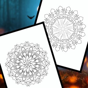 May include: Two black and white mandala designs. The first design features a circular pattern of spiders and webs. The second design features a circular pattern of stylised eyes.