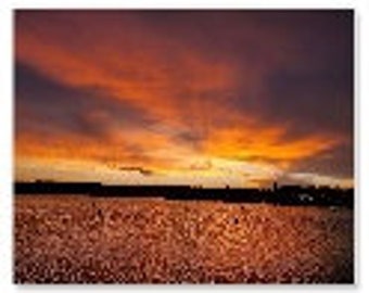 Photographs _ Sunset/Sunsrises