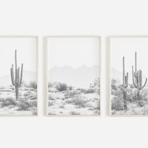Set of 3 Desert Prints, Four Peaks Arizona Wall Art, 3 Piece Print Set, Arizona Desert, Black And White, Boho Print, Modern Wall Art Prints