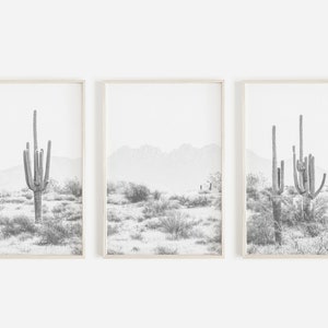 Puede incluir: Un conjunto de tres fotograf&iacute;as en blanco y negro que muestran paisajes des&eacute;rticos con cactus. Las fotos est&aacute;n enmarcadas en marcos blancos simples.