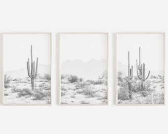 Conjunto de 3 impresiones del desierto, arte de la pared de Four Peaks Arizona, conjunto de impresión de 3 piezas, desierto de Arizona, blanco y negro, impresión boho, impresiones de arte de pared moderno