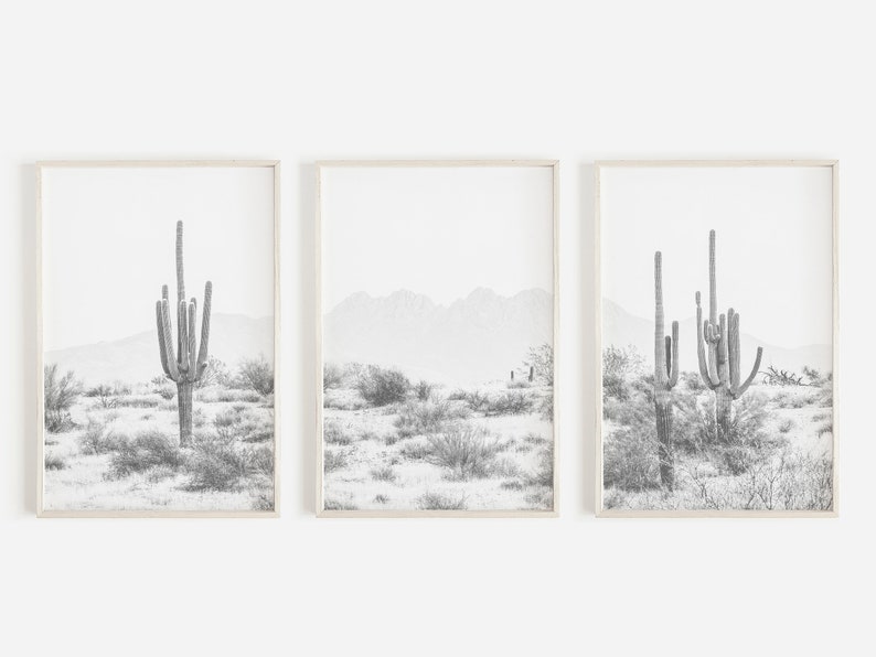 Puede incluir: Un conjunto de tres fotograf&iacute;as en blanco y negro que muestran paisajes des&eacute;rticos con cactus. Las fotos est&aacute;n enmarcadas en marcos blancos simples.